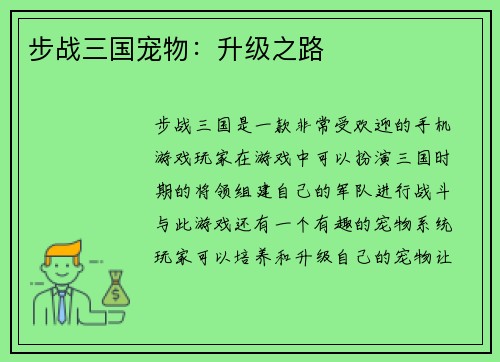 步战三国宠物：升级之路